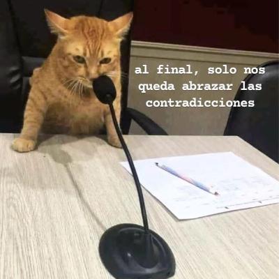 Temas que abordo: El activismo, política, la muerte, necesidades fisiológicas, entre otras. Temas que abordo: El activismo, política, la muerte, necesidades fisiológicas, entre otras.