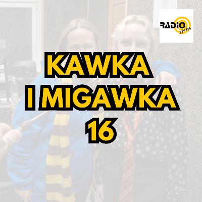 Kawka i migawka 16