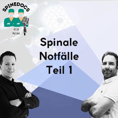 Spinale Notfälle - Teil 1 Spinale Notfälle - Teil 1