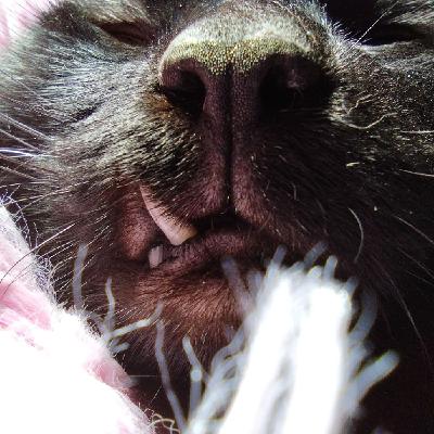 20. Heeeey! We didn't talk about...!