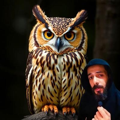 الحياة من وجهة نظر البومة الحياة من وجهة نظر البومة
