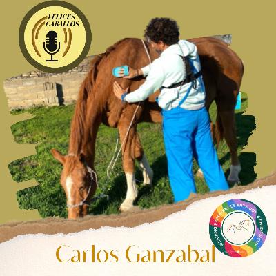 Las terapias también son bienestar para los caballos, Carlos?
