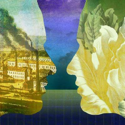 CONTAMINACIÓN AMBIENTAL