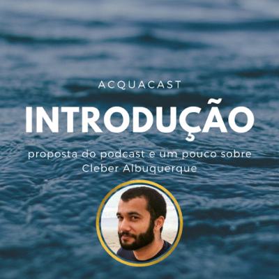 INTRODUÇÃO