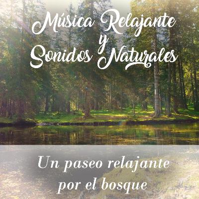 Cap. 1 - Un Paseo Relajante por el Bosque