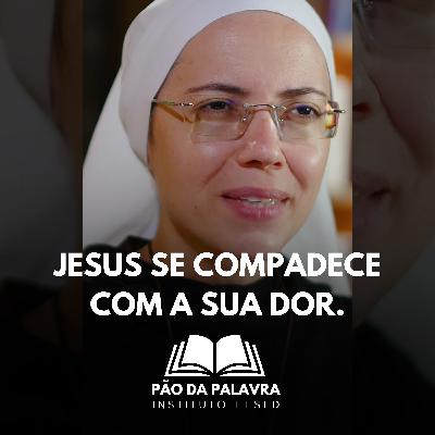 Palavra de Deus | Jesus se compadece da sua dor (Lc 14,1-6) Ir. Maria Raquel 01/11