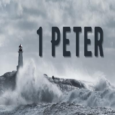 Living Stones (1 Peter 2:4-8)