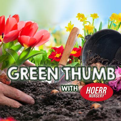 Green Thumb - October 30th Green Thumb - October 30th