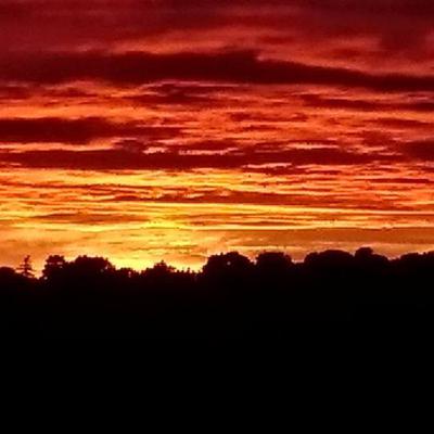 Too many Houses being built in one place