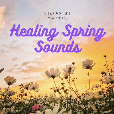 🌿End your Long Day with the Calm of Healing Spring Season Sounds ASMR | Calming Experience Fresh Morning Ambience Ambiance Meditation Peaceful Atmosphere Beauty of Nature Anti Stress Anxiety Deep Sleep 2025