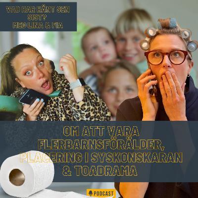 Syskonskara, om att vara flerbarnsförälder och toadrama