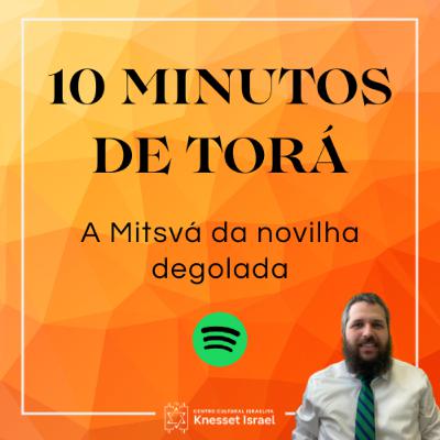 1264 CICLO "10 MINUTOS DE TORÁ": A Mitsvá da novilha degolada