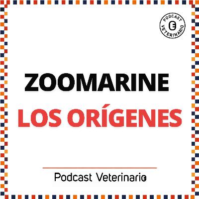 ZOOMARINE los origenes