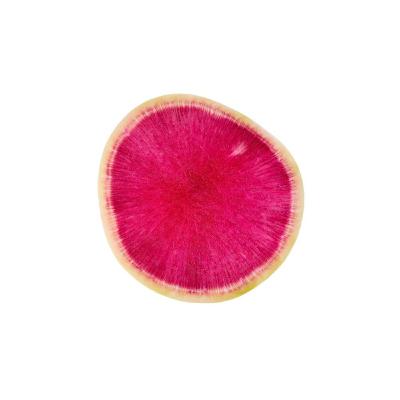 0902 Radis Rose - 27/02/25