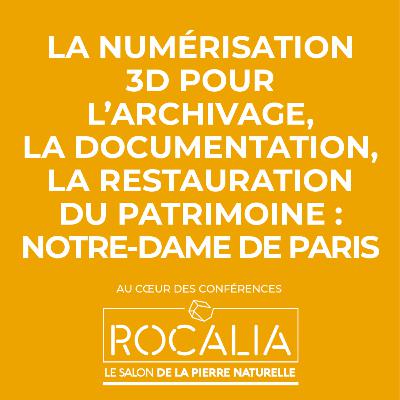 [Rocalia 2021] La numérisation 3D de Notre-Dame de Paris
