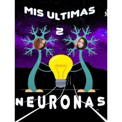 Los 12 Nervios craneales