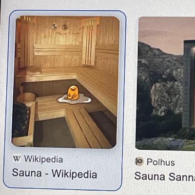 The Sauna The Sauna