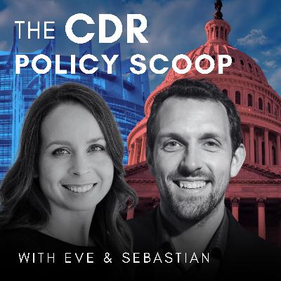 Are ERW and OAE ready for Carbon Removal Certification? - with Rachel Smith