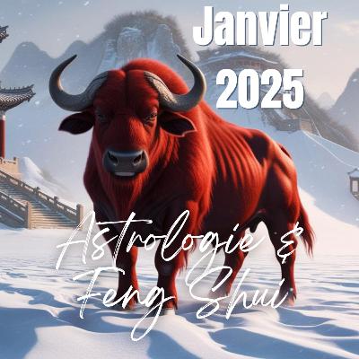 Astro Janvier 2025, Mois du Buffle de Feu 丁丑 - Prévisions Astrologiques & Feng Shui