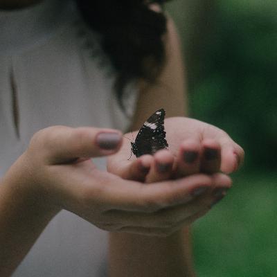 Grieving with Love ❤ Guided Meditation by Sanne Ham
