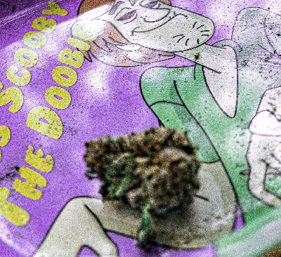 Weed In Massachusetts