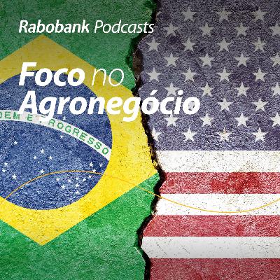 Tarifas – uma atualização
