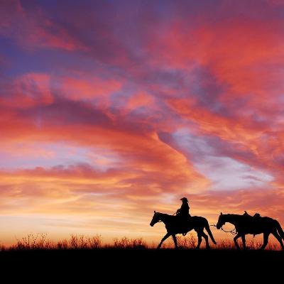 Episode 114: The Wild West