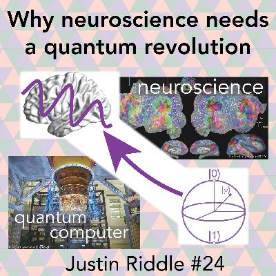 #24 - Why neuroscience needs a quantum revolution