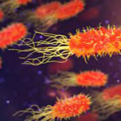 Archaebacteria
