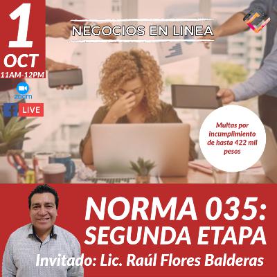 Norma 035: Segunda fase.
