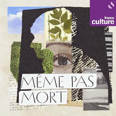Même pas mort 5/7 : Le jour où