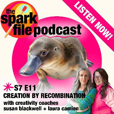 S7E11 - Creation By Recombination