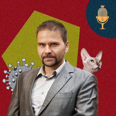 Ptasia grypa u kotów [WKRĘCENI W NAUKĘ #8]