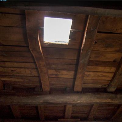 La Criatura del Desván