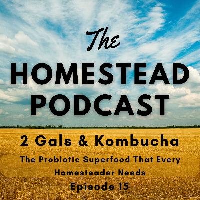 Ep. 15 - Kombucha: The Probiotic Superfood That Every Homesteader Needs