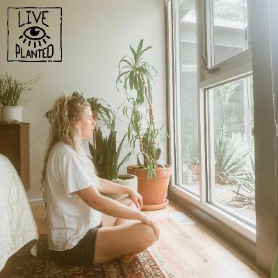 #158 Five Ways to Change Your Perspective - LNTS