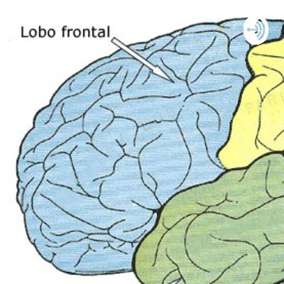 Lesão no lobo frontal