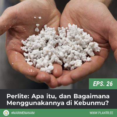 MM 26: Perlite: Apa itu dan Bagaimana Menggunakannya di Kebunmu?