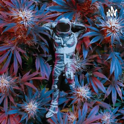 Gestión del Talento Humano