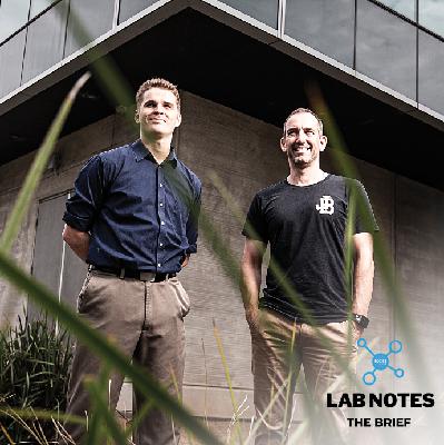 THE BRIEF - TAFE and Bad Leavers THE BRIEF - TAFE and Bad Leavers