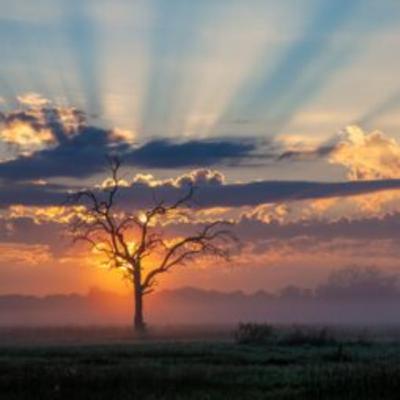 A Botswana Safari Journey