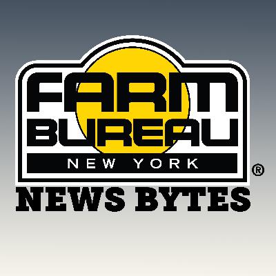#8: Interview with Phillip Grant from Hunts Point Produce Market - 06-6-2024