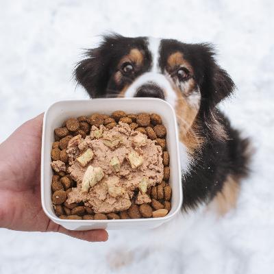 82. Are You Overusing Food in Training?