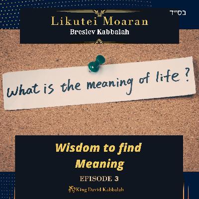 Finding Purpose | Breslev Kabbalah Episode 3