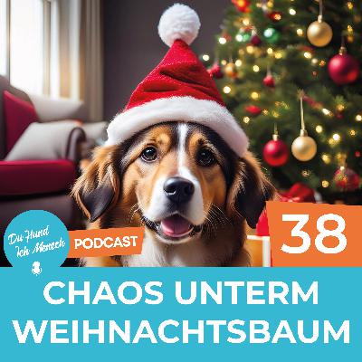38# Chaos unterm Weihnachtsbaum 38# Chaos unterm Weihnachtsbaum