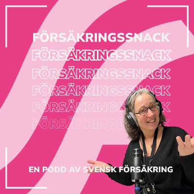 Hotar brottsligheten försäkringssystemet?