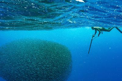 Beneath the Surface: The Life and Vision of David Ochoa