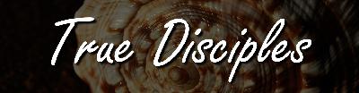 The Gospel of Matthew: True Disciples The Gospel of Matthew: True Disciples