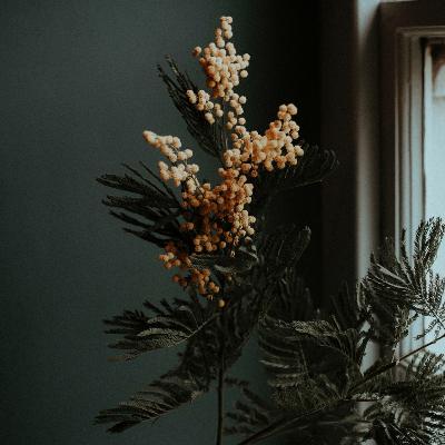 Because I could not stop for Death - Emily Dickinson Because I could not stop for Death - Emily Dickinson