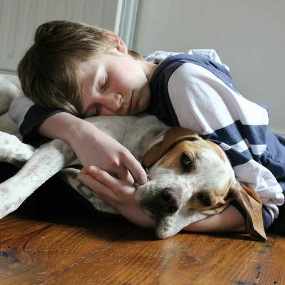 26 January 2026 26 January 2026